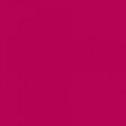 пигмент  акриловый  CHALLENGER ,  2K31  Red Orange   1,0 л. 2K31