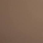 автоэмаль акриловая  Duxone , темно-бежевая 509  1,0 л. 509